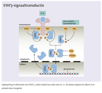 STAT3