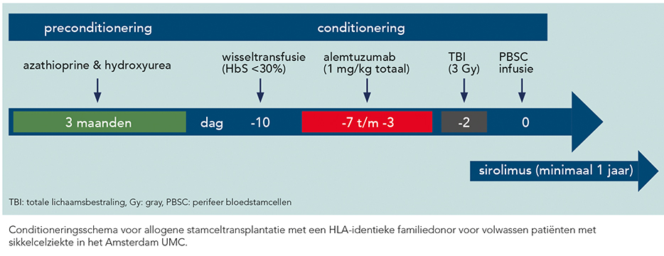 PW37 pag. 13