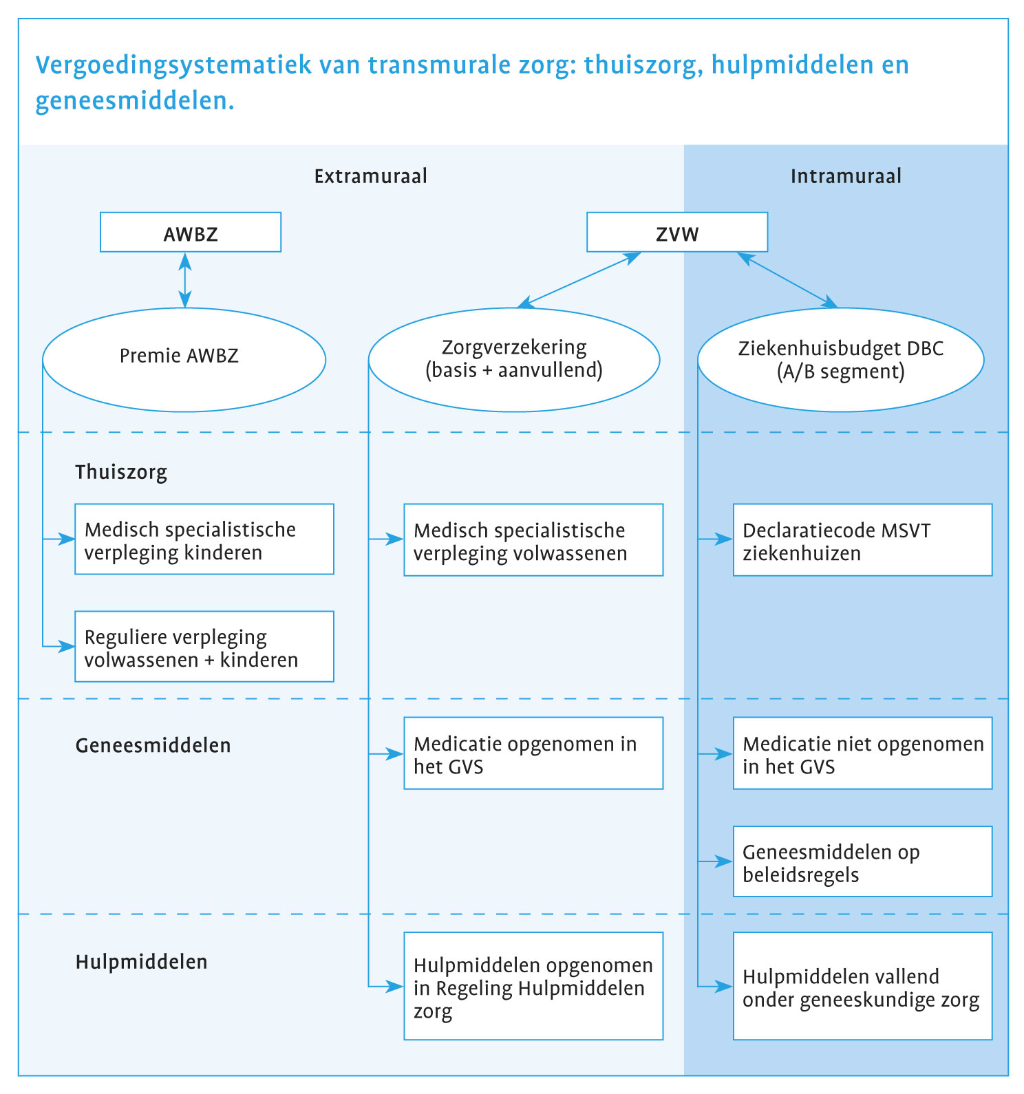 transmuraal